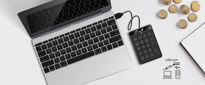 TECLADO NUMERICO GENIUS NUMPAD 110 USB