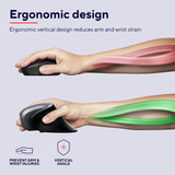 MOUSE TRUST VERRO | ERGONOMICO INALAMBRICO | 23507