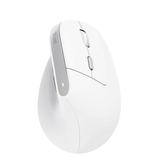 MOUSE TRUST BAYO II | ERGONOMICO INALAMBRICO | RECARGABLE | TM-270